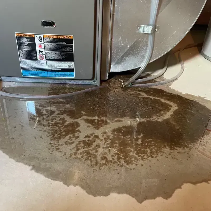 Appliance Leak Cleanup in Winnebago, IL